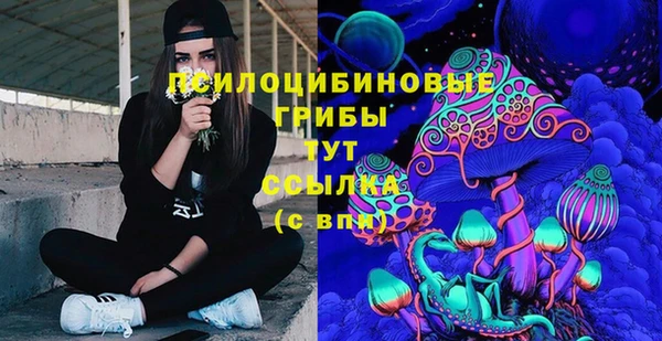 шишки Вяземский