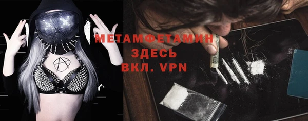 шишки Вяземский