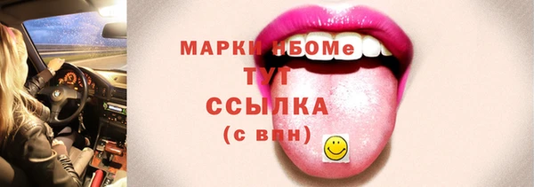 шишки Вяземский