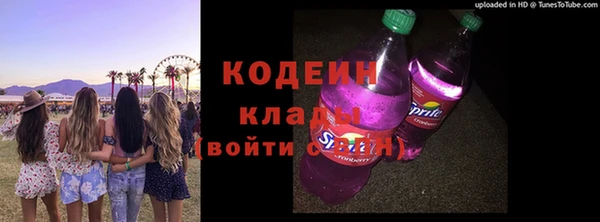 шишки Вяземский