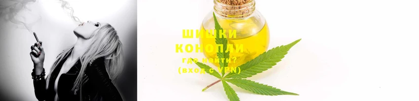 прущие крисы Вязники