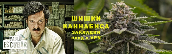ПСИЛОЦИБИНОВЫЕ ГРИБЫ Гусиноозёрск