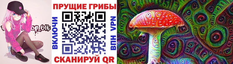 Псилоцибиновые грибы ЛСД Купить закладки Кашин